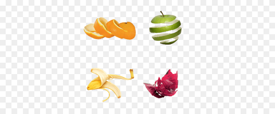 Fruits Transparent Images, Peel, Citrus Fruit, Food, Fruit Png