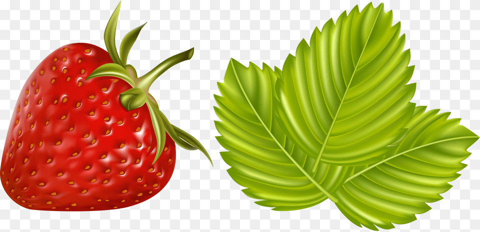 Fruits Vegetables And Berries Klubnika Multyashnaya, Berry, Food, Fruit, Plant Free Png Download