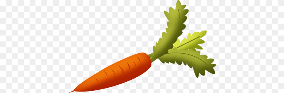 Frukty Ovoshchi Baskets Clipart Carrots, Carrot, Food, Plant, Produce Free Transparent Png