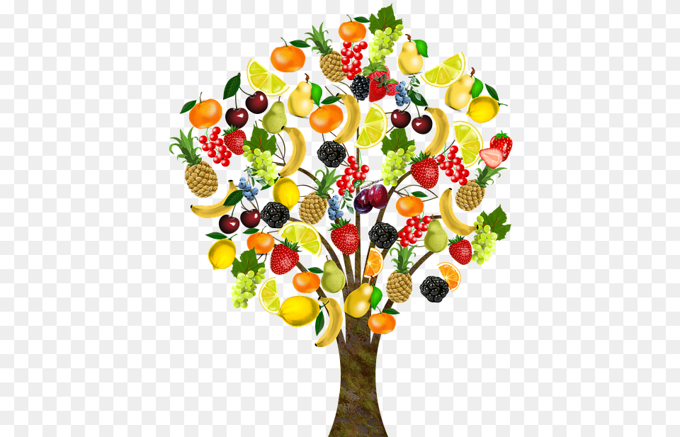 Frutas De Rboles Frutales Salud Vitaminas Cerezas Fruit Tree Transparent Background, Berry, Produce, Plant, Strawberry Free Png