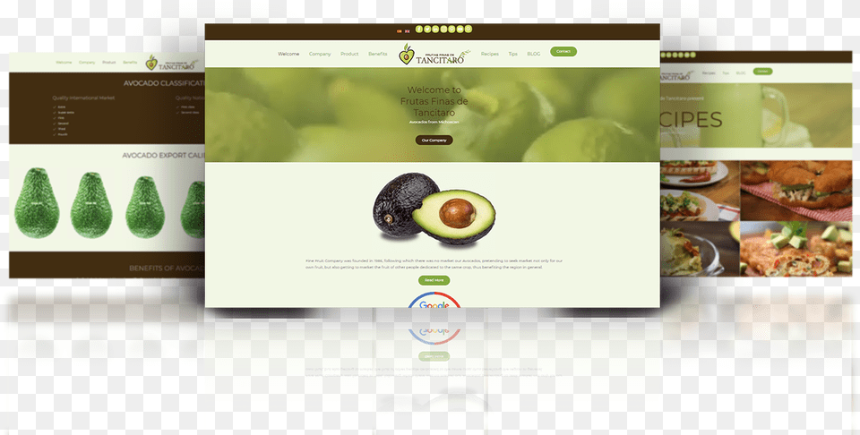 Frutas Finas De Tancitaro Olive, Avocado, Food, Fruit, Plant Free Png