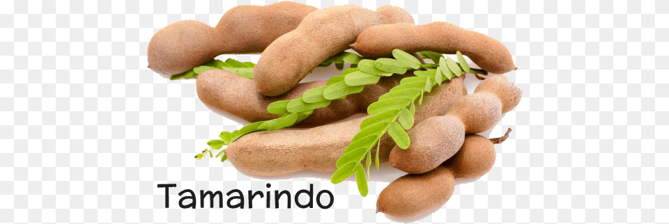 Frutas Luisi Gt Tropicales Y Exticos Legend Of Tamarind, Food, Produce, Fruit, Plant Png Image