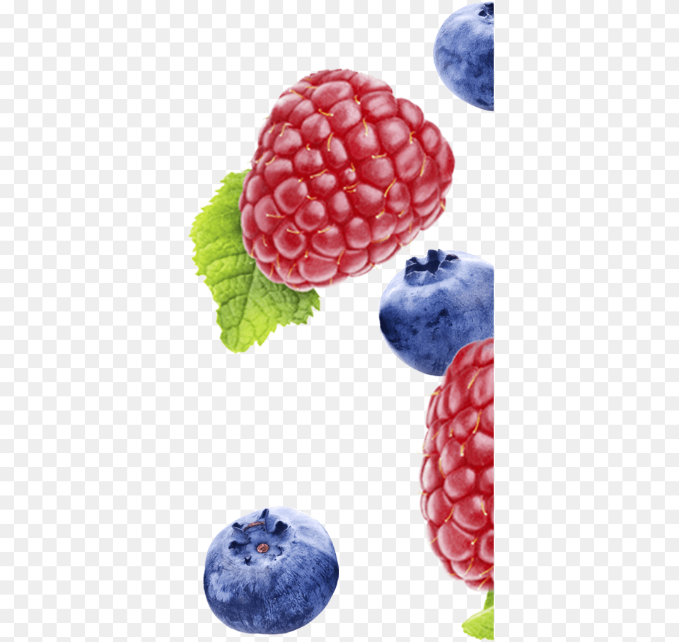 Frutti Di Bosco, Raspberry, Berry, Blueberry, Food Free Transparent Png