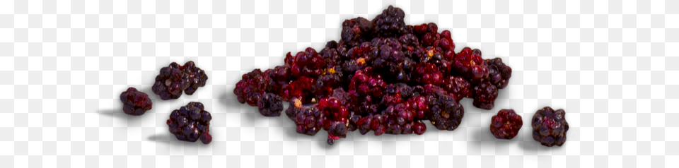 Frutti Di Bosco, Berry, Food, Fruit, Plant Free Png