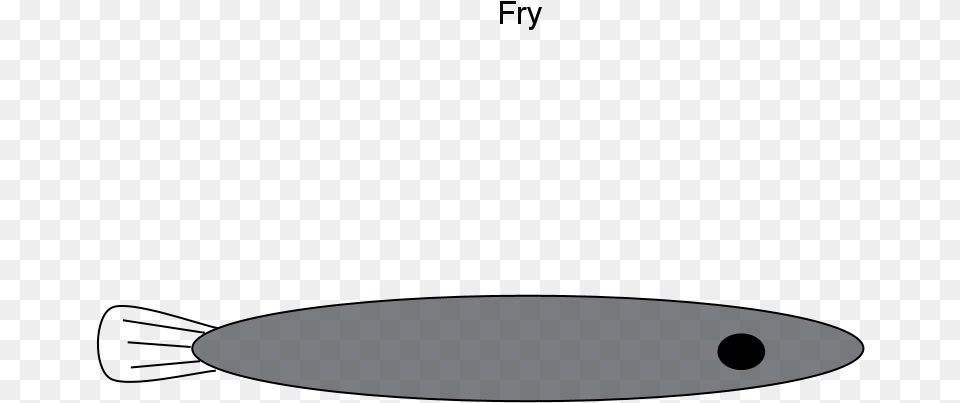 Fry Circle, Lighting Png Image