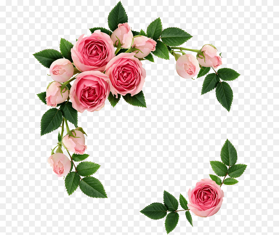 Fte Flowers Picsart Frame You Help Others Allah Will Help You, Flower, Plant, Rose, Flower Arrangement Png Image