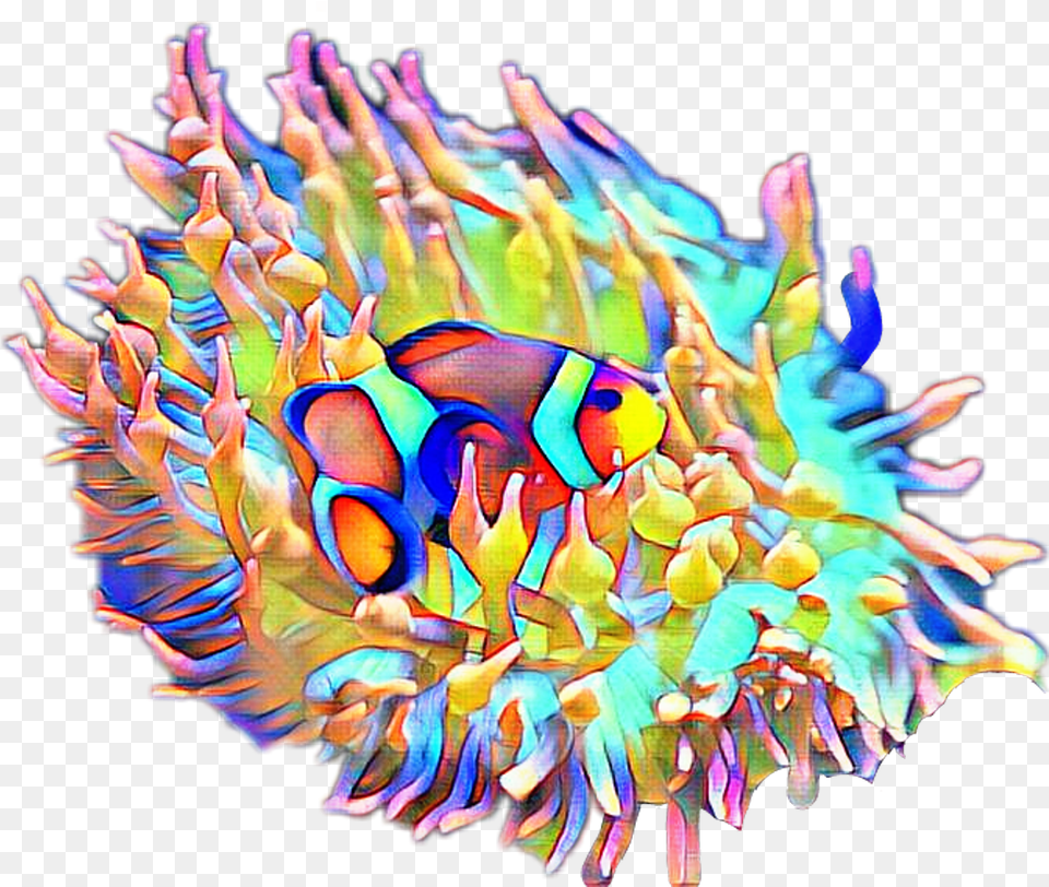 Fteseacreatures Anemone Clownfish Fish Artistic, Animal, Sea Life, Invertebrate, Sea Anemone Free Png Download