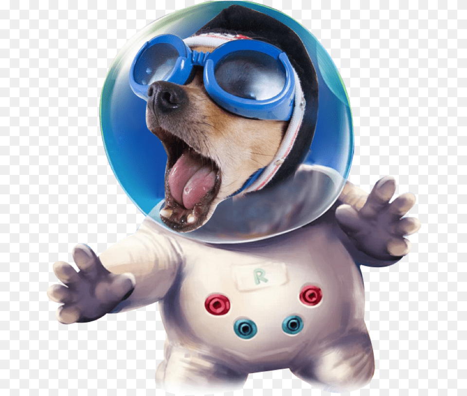 Ftestickers Astronaut Space Funny Dog Freetoedit Funny Hd Image Accessories, Goggles, Sunglasses, Baby Free Png Download