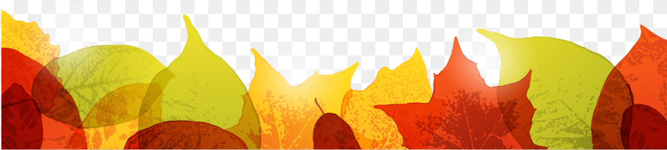 Ftestickers Autumn Fall Leaves Border Colorful Fall Thanksgiving Border, Leaf, Plant, Sunlight, Tree Png