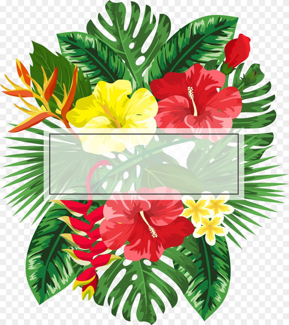 Ftestickers Background Frame Flowers Tropical Flower Tropical Frame, Art, Graphics, Leaf, Plant Png