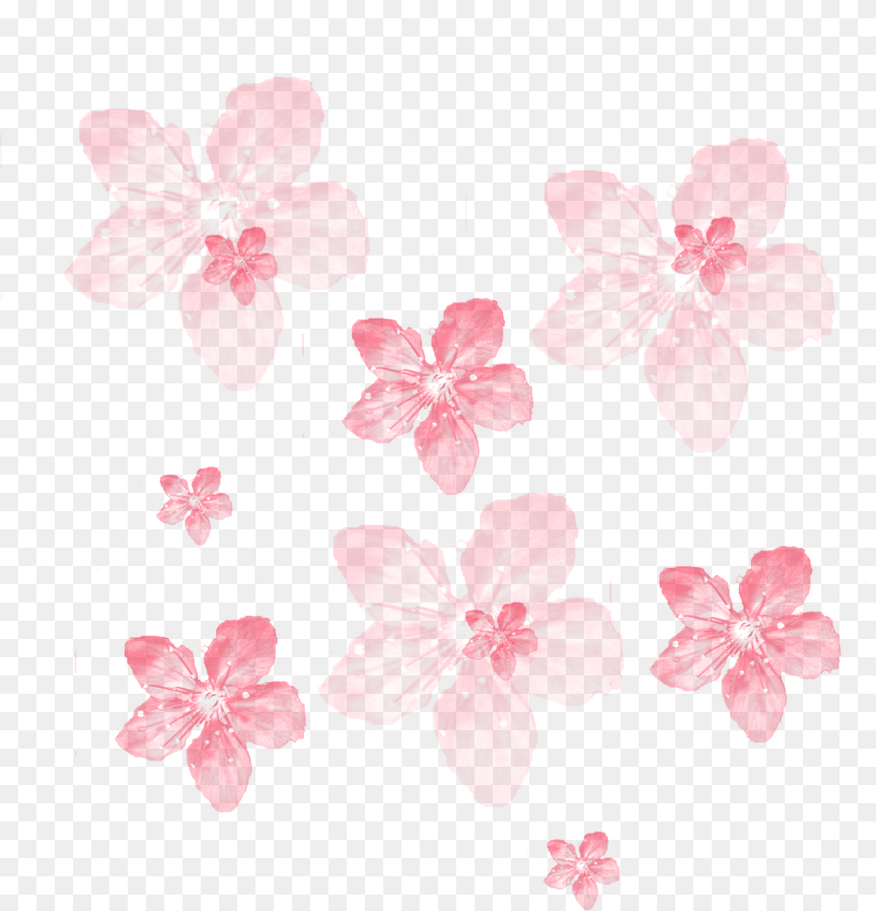 Ftestickers Background Overlay Flowers Japanese Cherry Blossom, Flower, Petal, Plant, Leaf Png