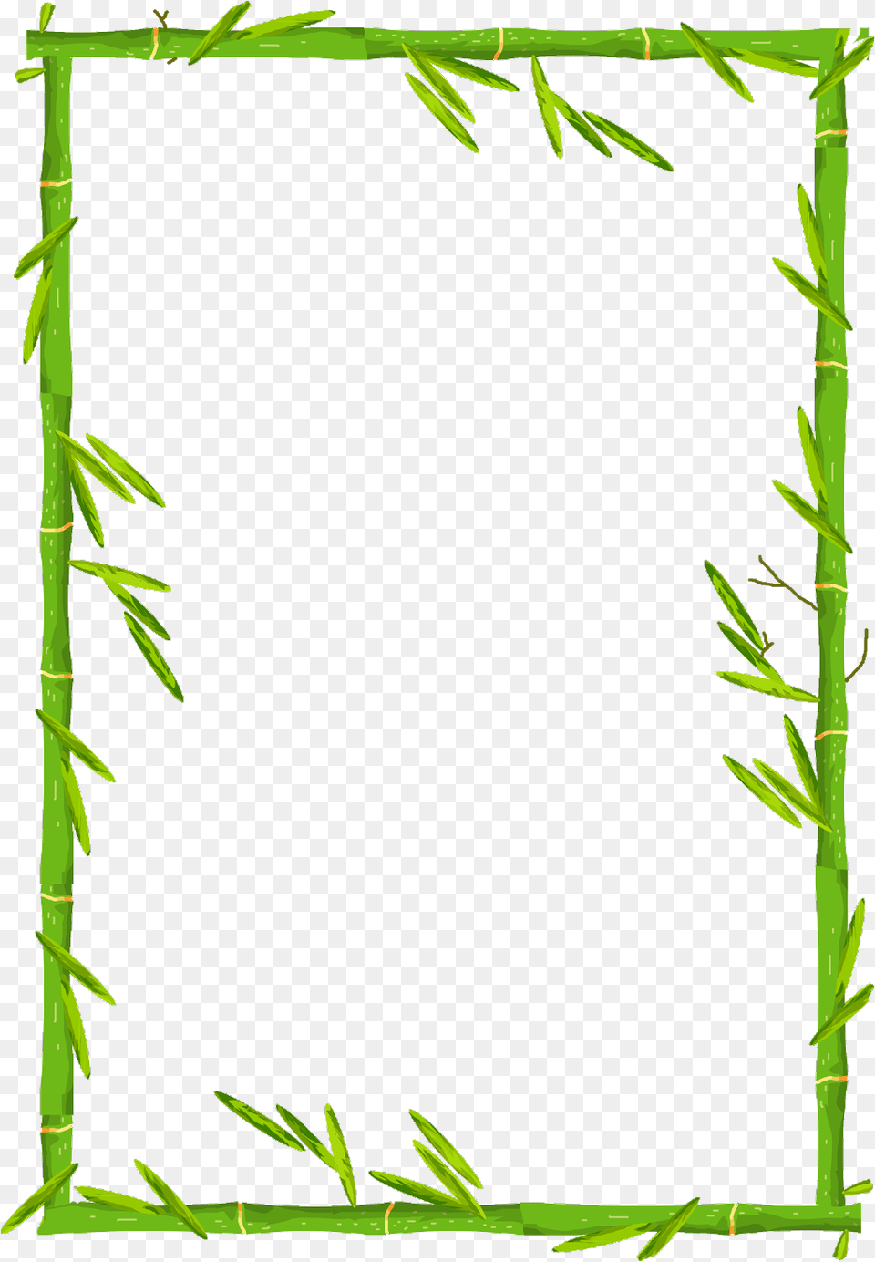 Ftestickers Bamboo Frame Borders Bamboo Border Frame Design, Plant Free Transparent Png