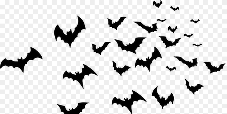 Ftestickers Bat Silhouette Bats Halloween Halloween Bats, Gray Free Png