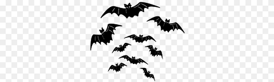 Ftestickers Bats Halloween Bat Silhouette Animal Bat, Gray Png