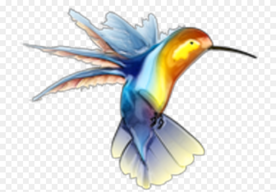 Ftestickers Bird Hummingbird Watercolor Free Hummingbird Clip Art, Animal, Flying, Beak, Bee Eater Png Image