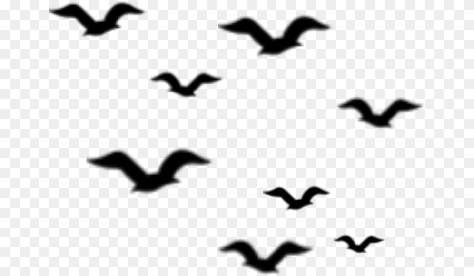 Ftestickers Birds Silhouette Flock Bird Animal Flock, Gray Png Image
