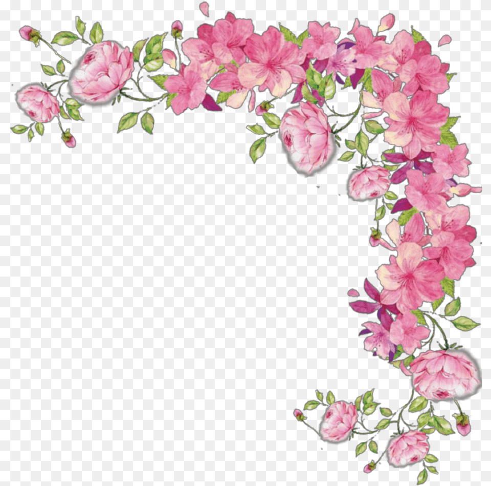 Ftestickers Border Corner Vine Roses Pink Transparent Pink Flower Border, Plant, Petal, Art, Pattern Free Png Download