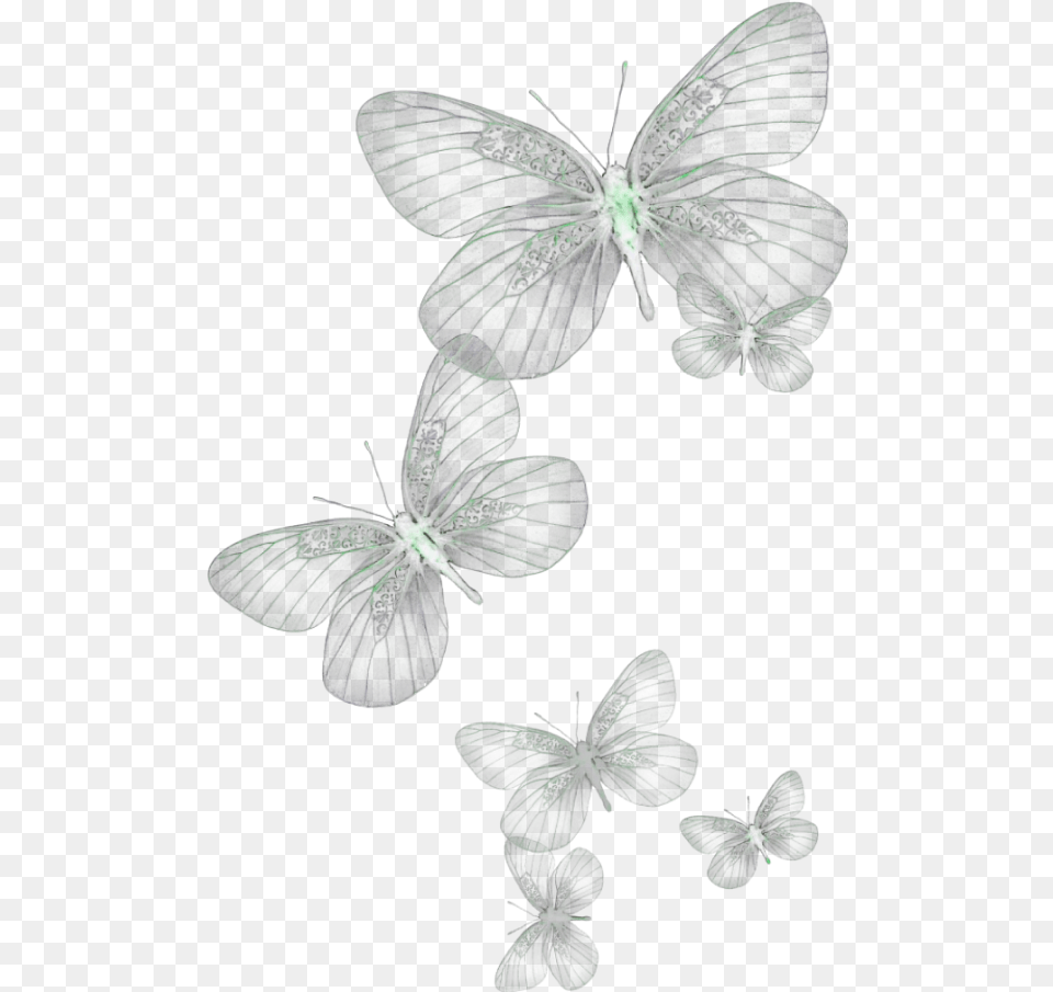 Ftestickers Butterflies Glow Green Transparent Background Butterfly, Plant, Art, Flower Free Png