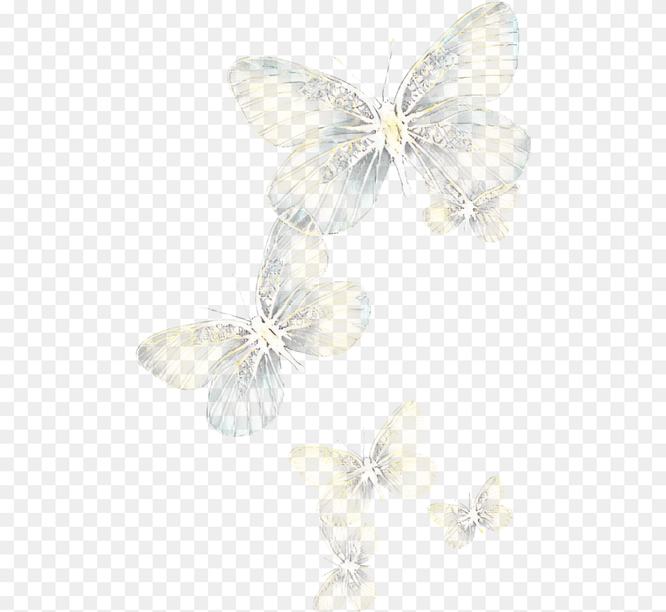 Ftestickers Butterflies Light Glowing Background Yellow Flying Butterfly, Animal, Insect, Invertebrate Png Image