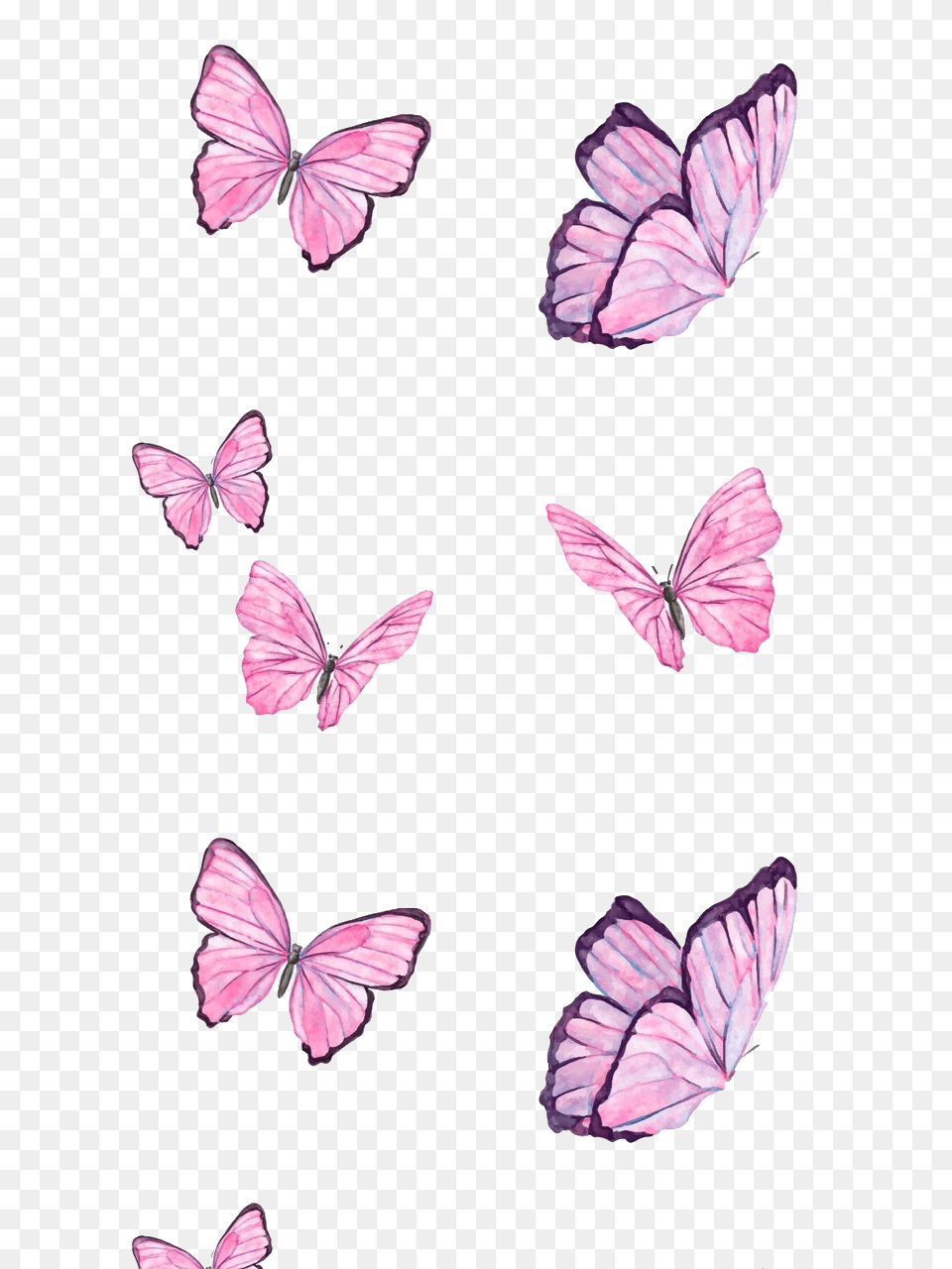 Ftestickers Butterflies Pink Nature Cute Papel De Parede Com Borboletas, Flower, Petal, Plant, Animal Free Png
