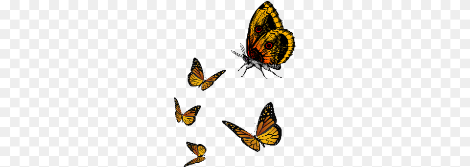 Ftestickers Butterfly Cute Fly Yellow Unique Cartoon Cute Butterfly, Animal, Insect, Invertebrate, Monarch Free Png
