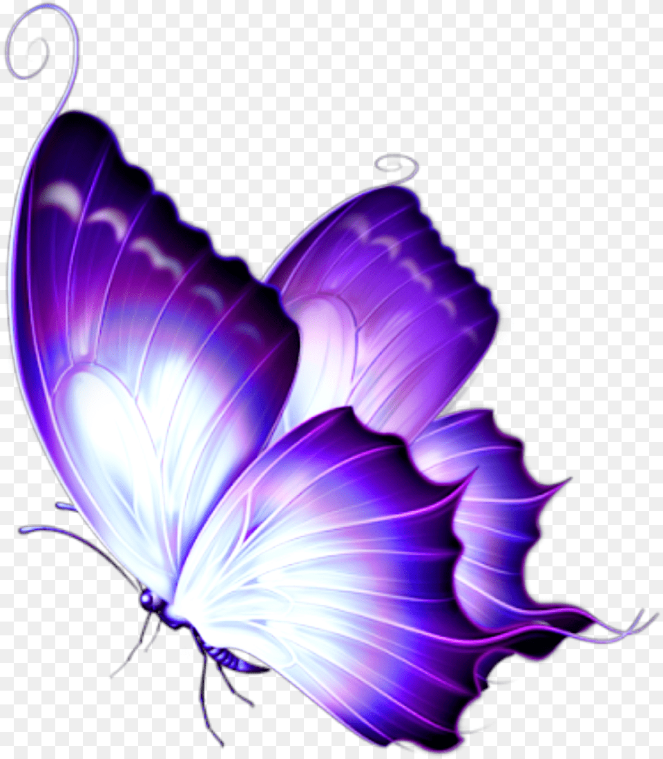 Ftestickers Butterfly Luminous Purple Blue Transparent Glowing Butterfly, Accessories, Pattern, Ornament, Graphics Png Image