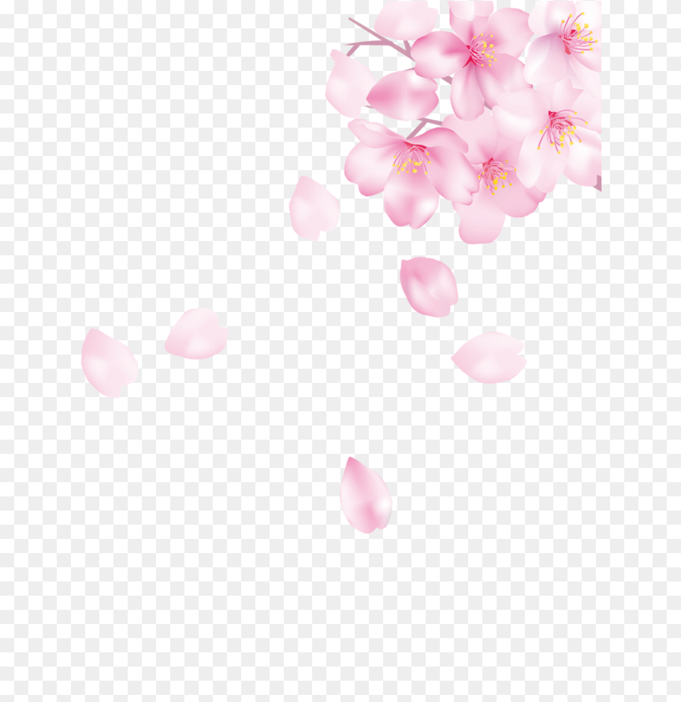 Ftestickers Cherryblossoms Petals Falling Floating Cherry Blossom, Flower, Petal, Plant, Cherry Blossom Png Image
