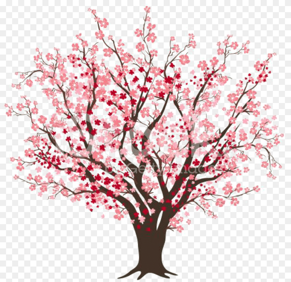 Ftestickers Clipart Cherryblossom Cherry Blossom Tree Clipart, Flower, Plant, Cherry Blossom Png Image