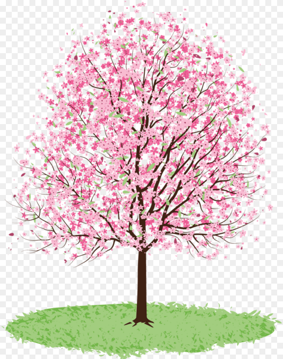Ftestickers Clipart Watercolor Illustration Cherrybloss Clip Art Spring Tree, Flower, Plant, Cherry Blossom Free Png