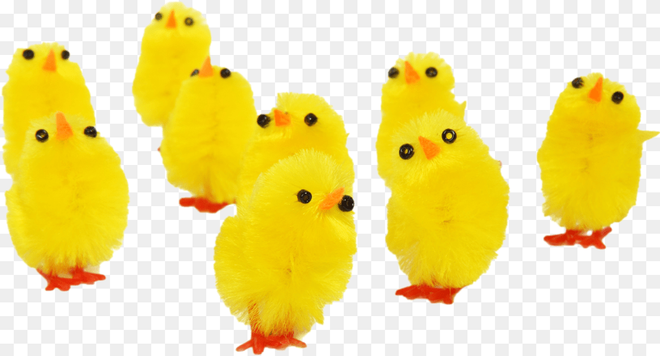 Ftestickers Easter Chicks Cute Yellow Easter Chickens, Animal, Bird, Fowl, Poultry Png Image