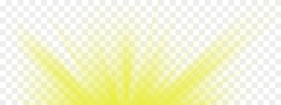Ftestickers Effect Light Glow Yellow Grass, Lighting, Plant, Pollen, Art Free Png