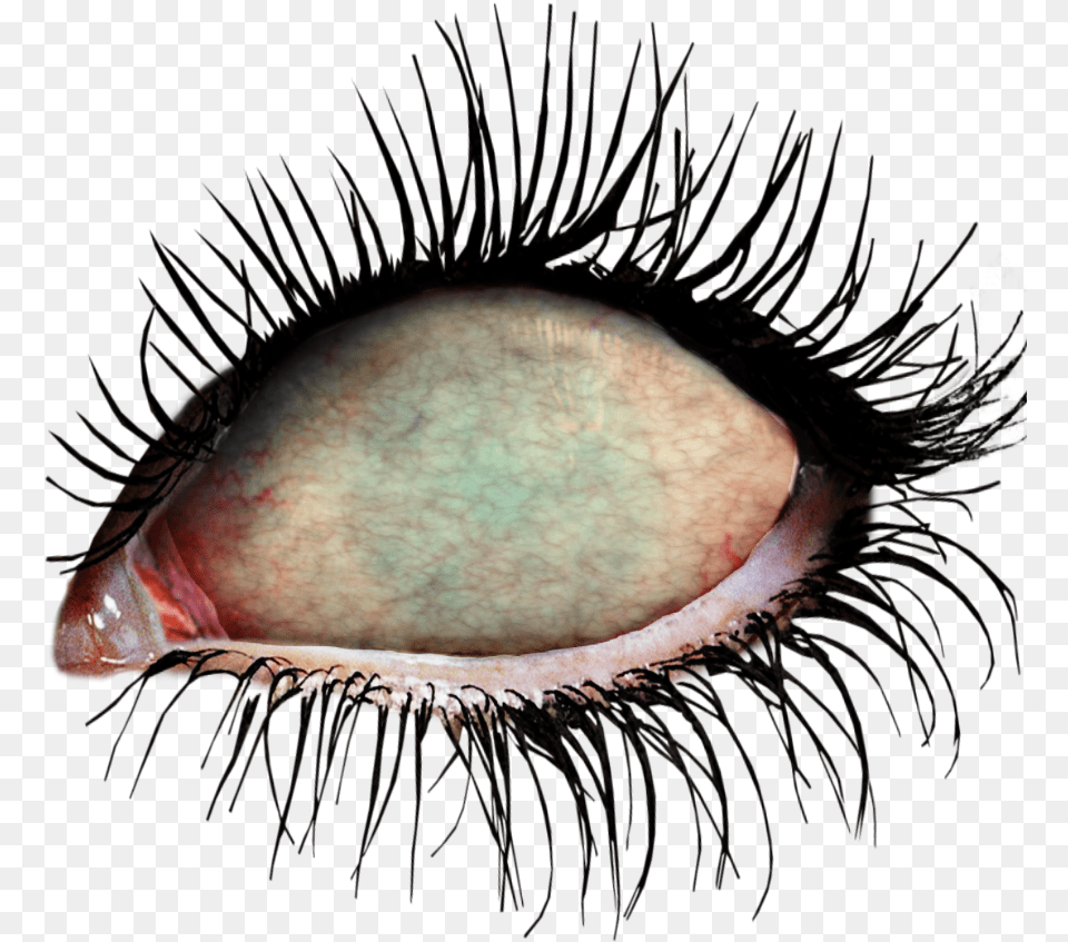 Ftestickers Eye Eyes Zombie Zombieeyes Undead Zombie Eyes Transparent, Baby, Person, Face, Head Png Image