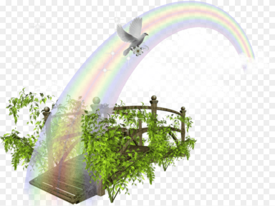 Ftestickers Fantasyart Bridge Rainbow Rainbowbridge Dcors, Flying, Plant, Bird, Animal Png Image