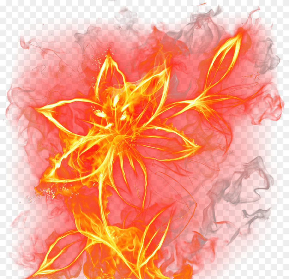 Ftestickers Flower Flames Fxeffects Fantasyart Fire Flower, Accessories, Fractal, Ornament, Pattern Png Image