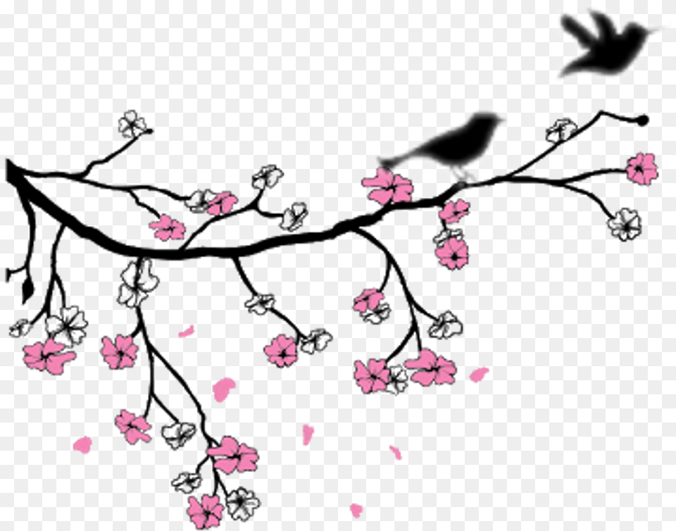 Ftestickers Flowers Birds Tree Bird Flower Clipart Drawing Of Birds And Flowers, Petal, Plant, Animal, Paper Png Image