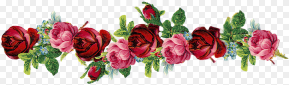 Ftestickers Flowers Divider Border Vintage Pink Red Flower Borders, Rose, Art, Floral Design, Plant Free Png Download
