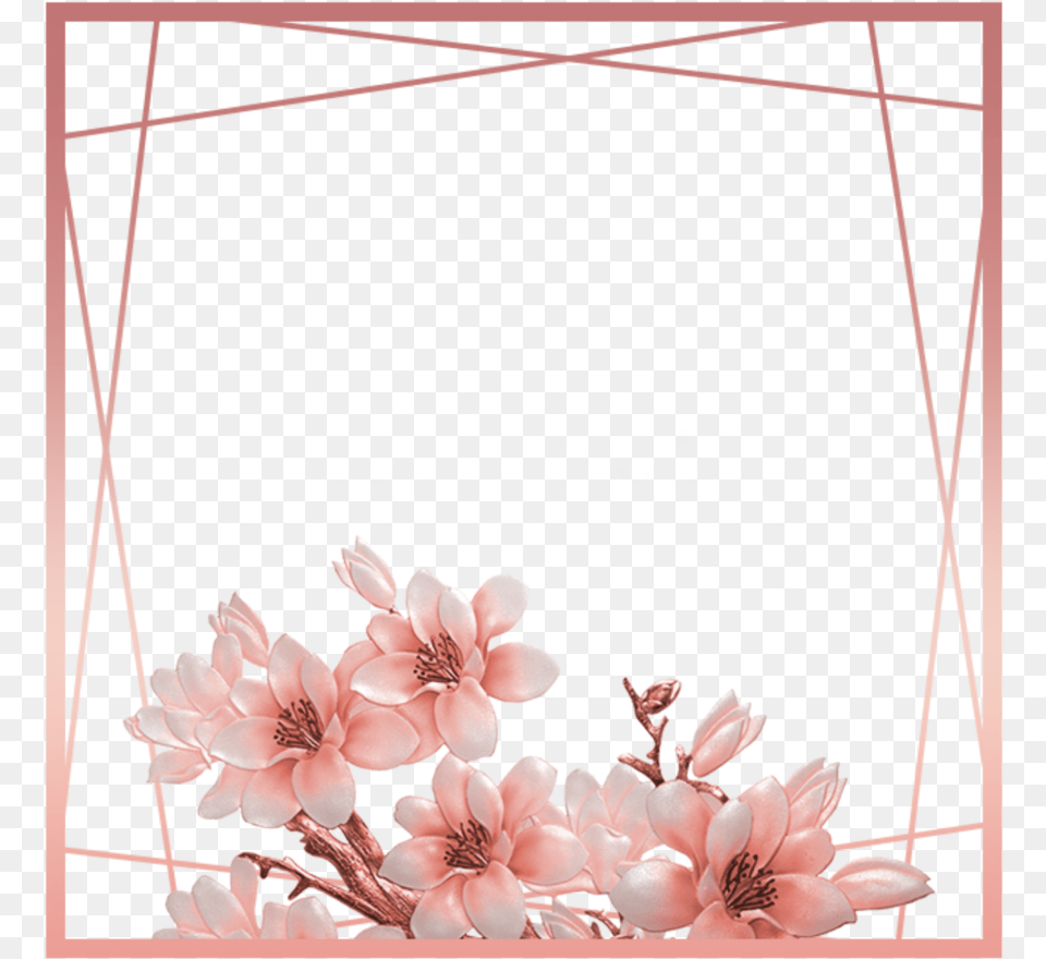 Ftestickers Flowers Frame Borders Rosegold Pink Rose Gold Border Transparent, Flower, Petal, Plant, Cherry Blossom Free Png