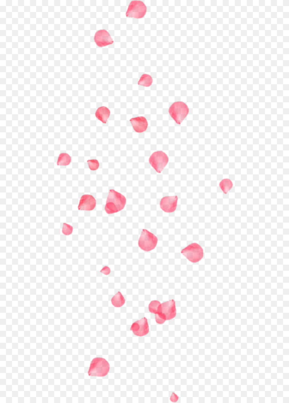 Ftestickers Flowers Petals Falling Floating Floating Flower Petals Petal, Plant, Person, Paper Free Transparent Png