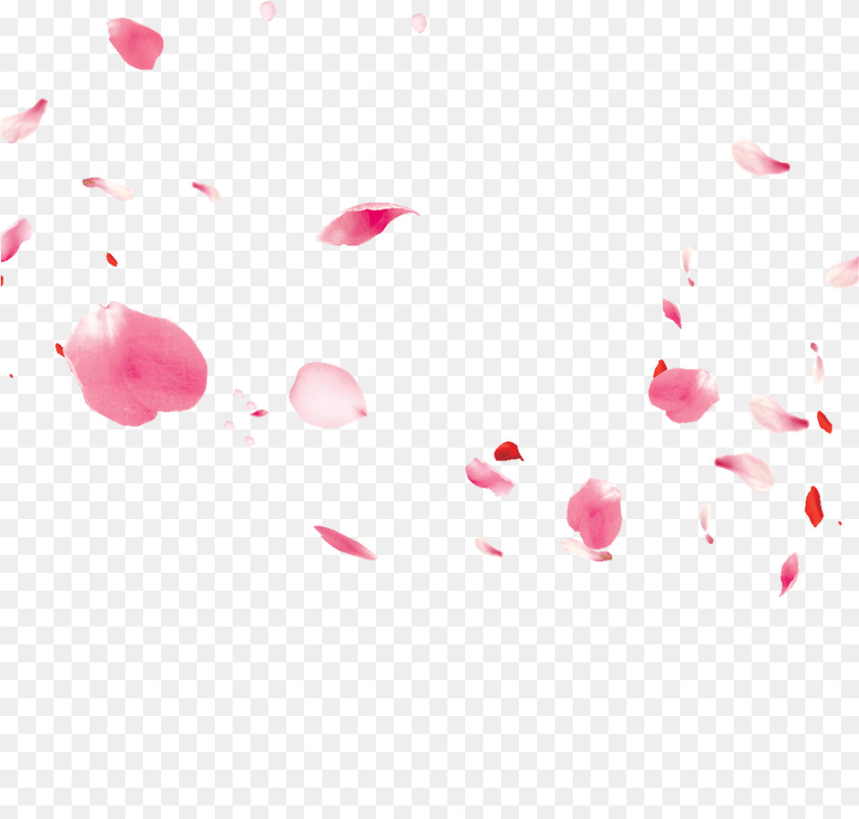 Ftestickers Flowers Petals Falling Floating Pink Illustration, Flower, Petal, Plant, Baby Free Png