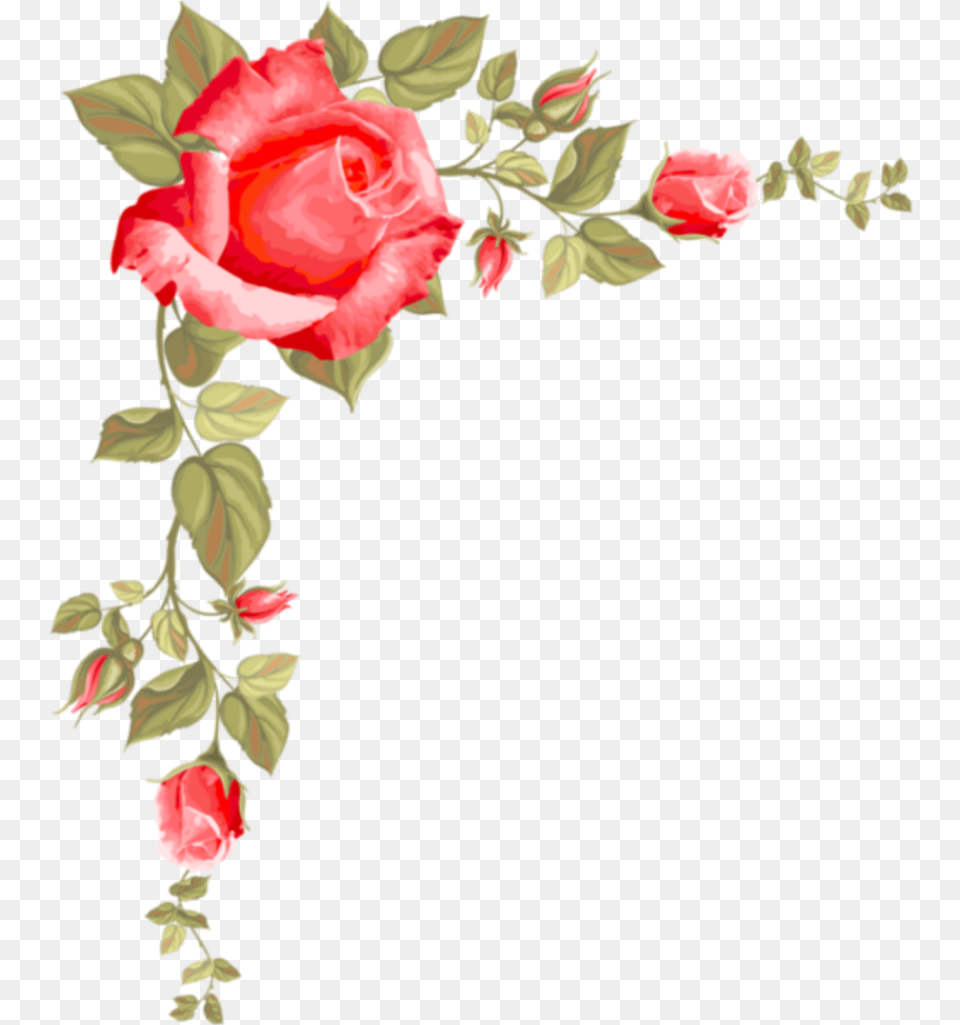 Ftestickers Flowers Roses Border Corner Pink Rose Borders Clip Art, Flower, Plant, Petal, Floral Design Free Png Download