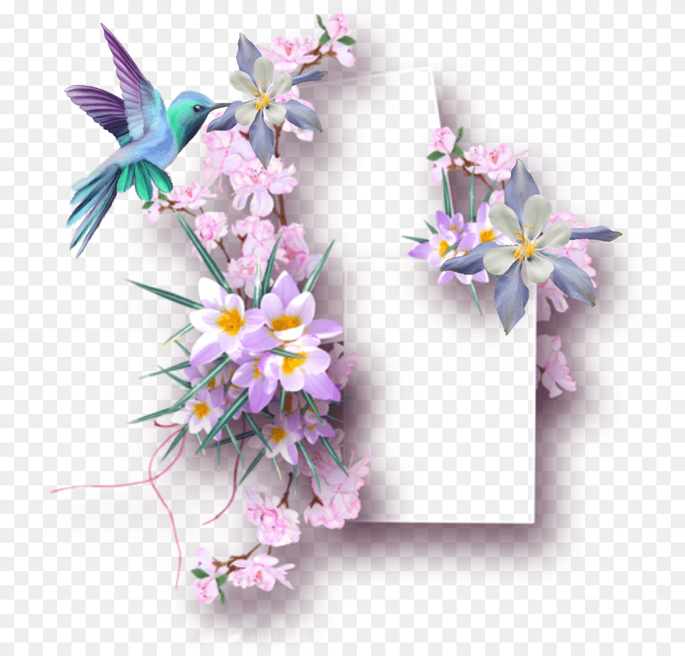 Ftestickers Frame Collage Springflowers Hummingbird Marco Para Fotos De Mujer, Flower Arrangement, Plant, Flower, Art Png