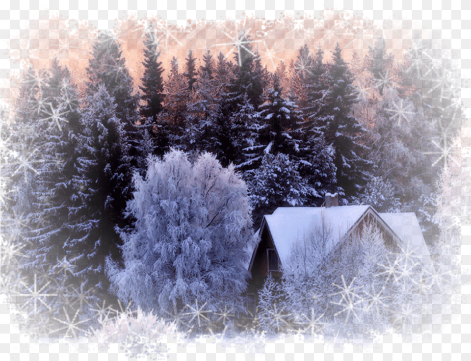 Ftestickers House Trees Winter Snow Scenery Wallpaper, Architecture, Tree, Shelter, Plant Free Png