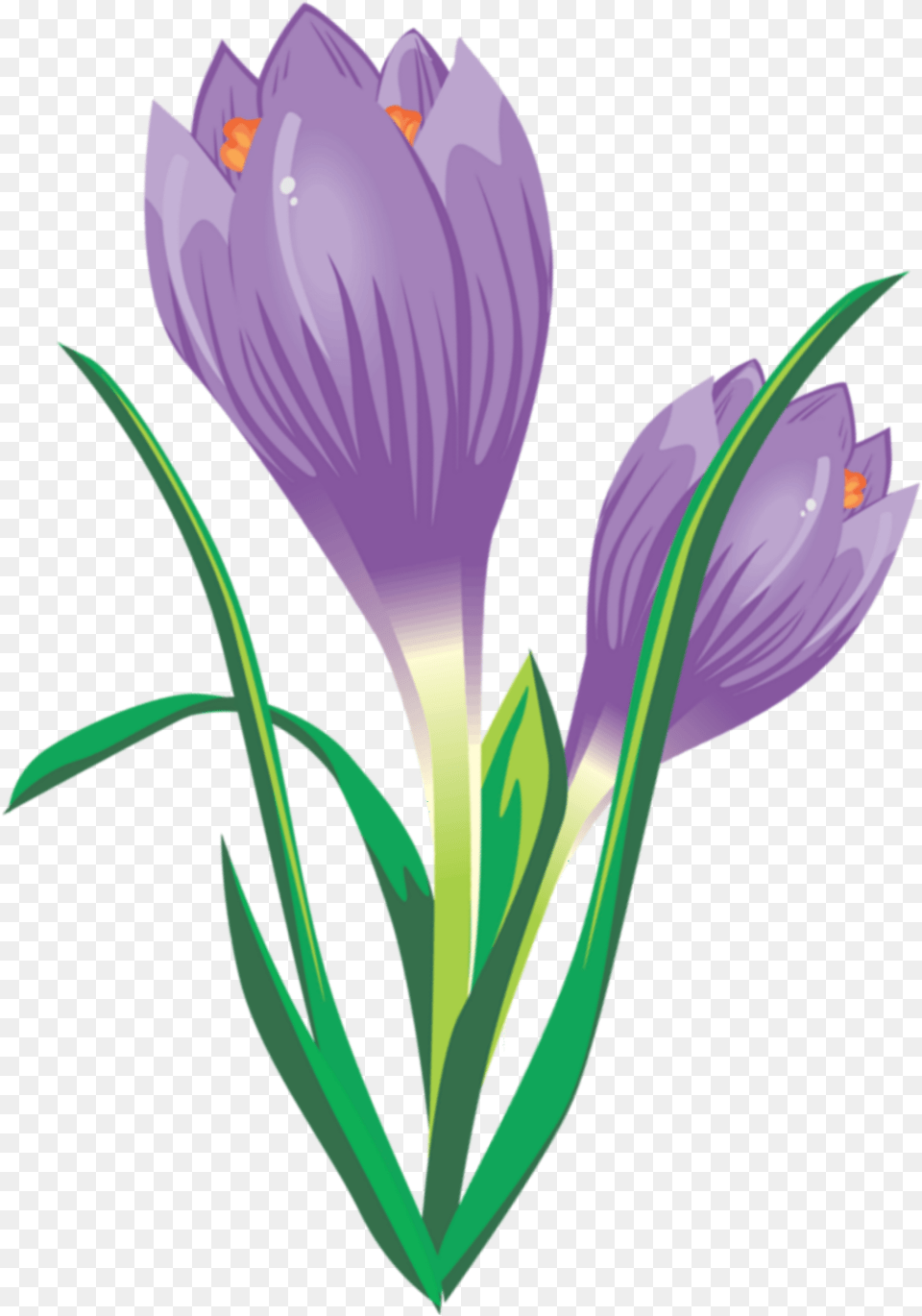Ftestickers Illustration Flower Crocus Purple Spring Crocus, Plant Free Png Download