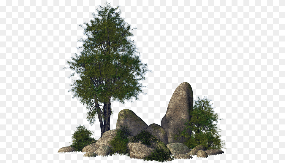 Ftestickers Landscape Trees Rocks Stones Transparent Stone Rock, Conifer, Fir, Plant, Tree Free Png Download