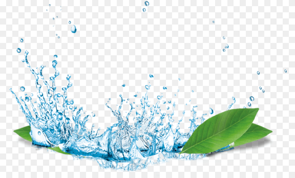 Ftestickers Leaves Raindrops Water Splash Splash Water Hd, Droplet, Leaf, Plant, Outdoors Free Png Download