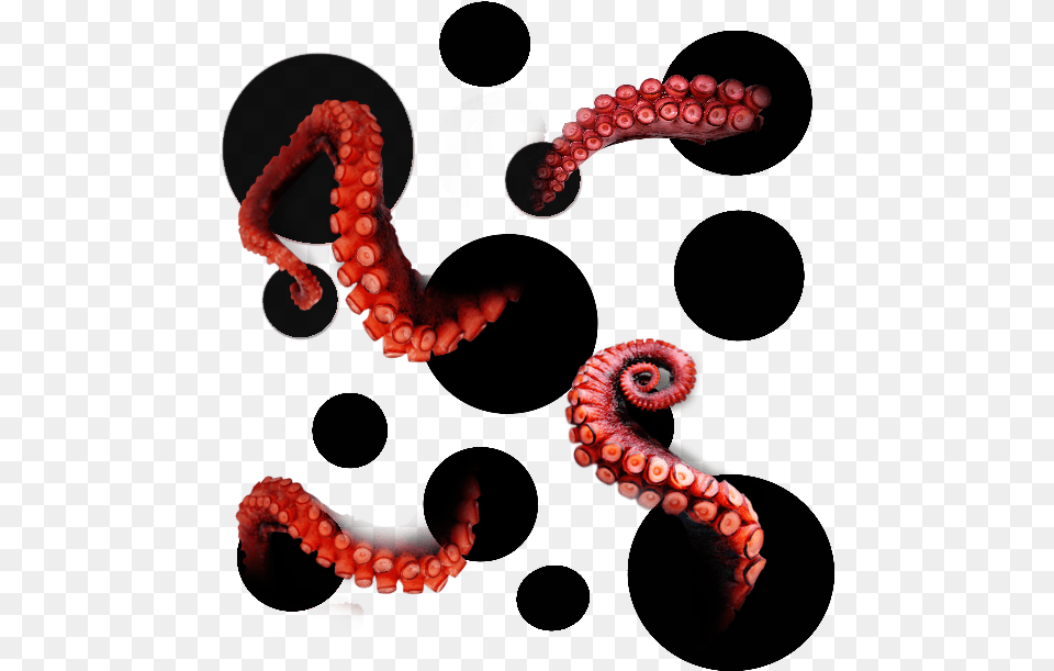 Ftestickers Octopus Tentacles Illustration, Animal, Sea Life, Invertebrate Png