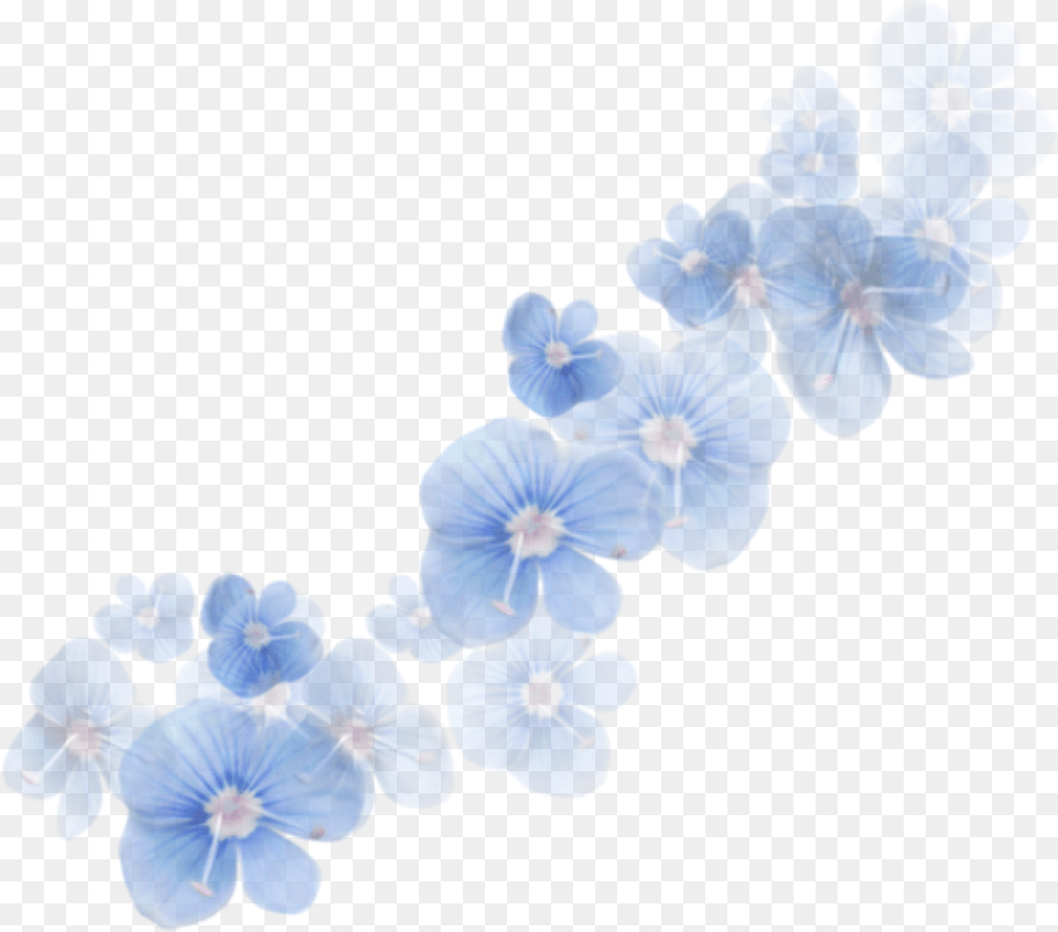 Ftestickers Overlay Flowers Transparent Transparent Blue Flower Overlay, Geranium, Plant, Petal, Anemone Free Png Download