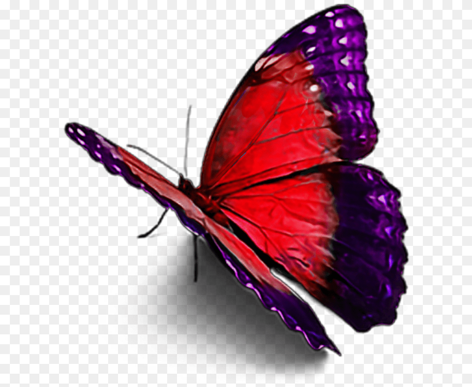 Ftestickers Sticker Picsart New Hd Sticar, Purple, Animal, Butterfly, Insect Png