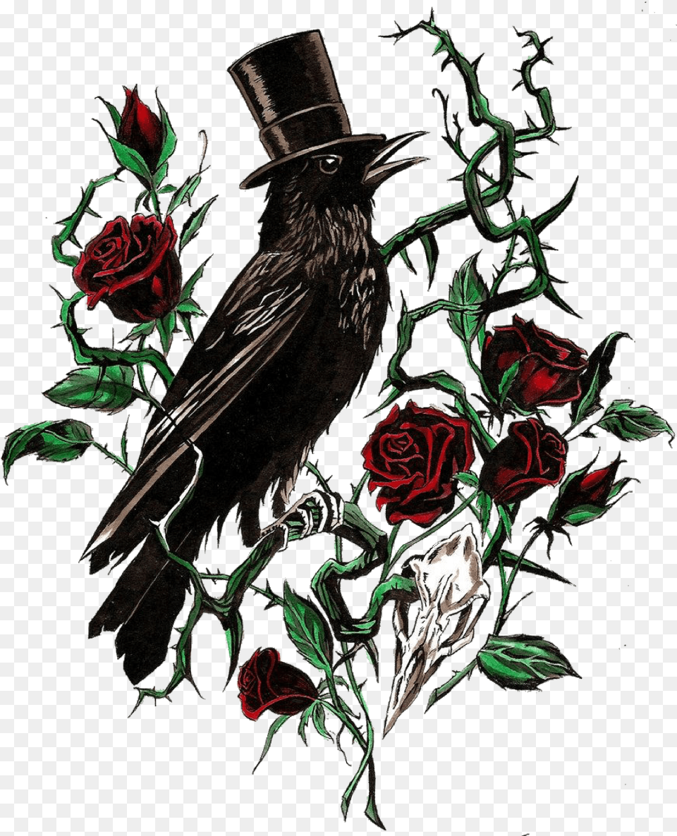 Ftestickers Tattoo Crow Roses Skull Horror Gothic, Rose, Plant, Flower, Blackbird Free Png