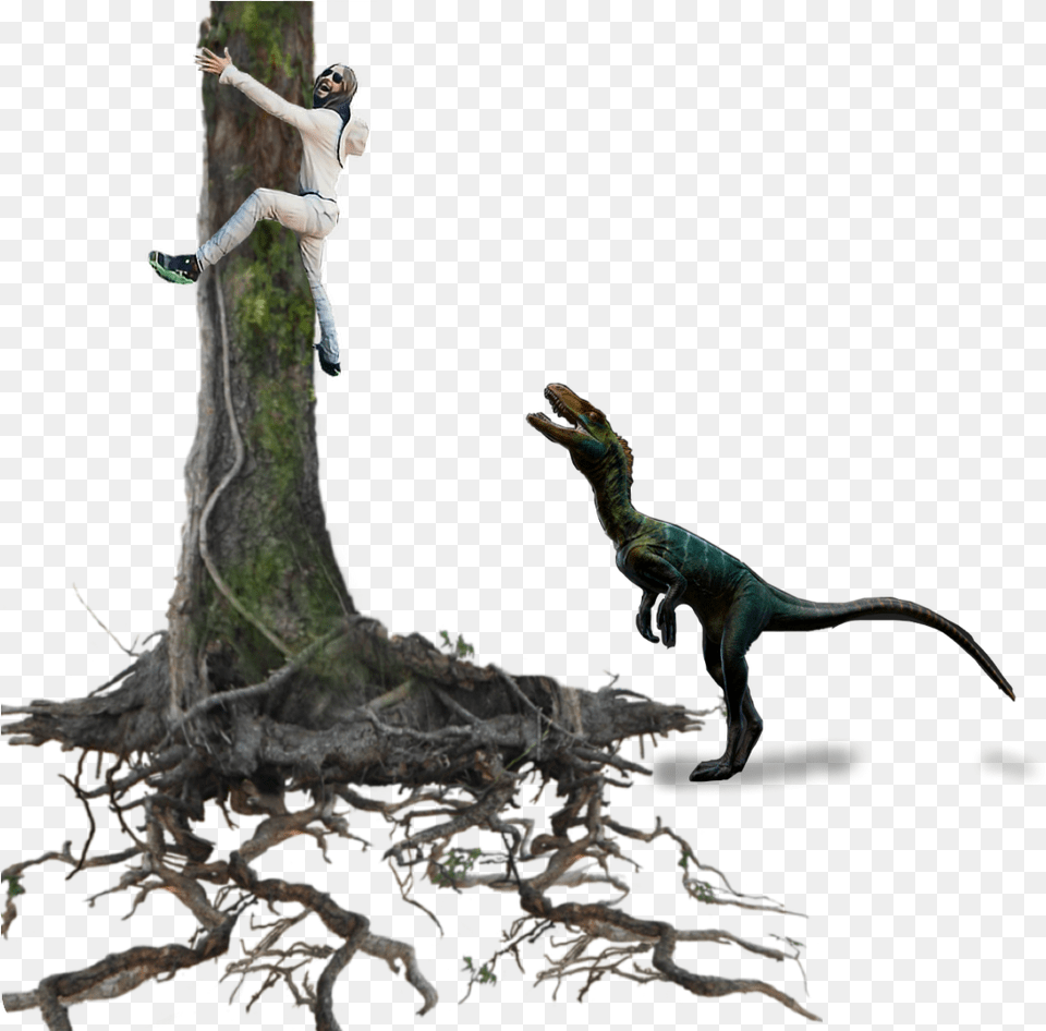 Ftestickers Tree Man Scared Dinosaur Branches Stickers Stickers Man Picsart, Adult, Reptile, Person, Male Png Image